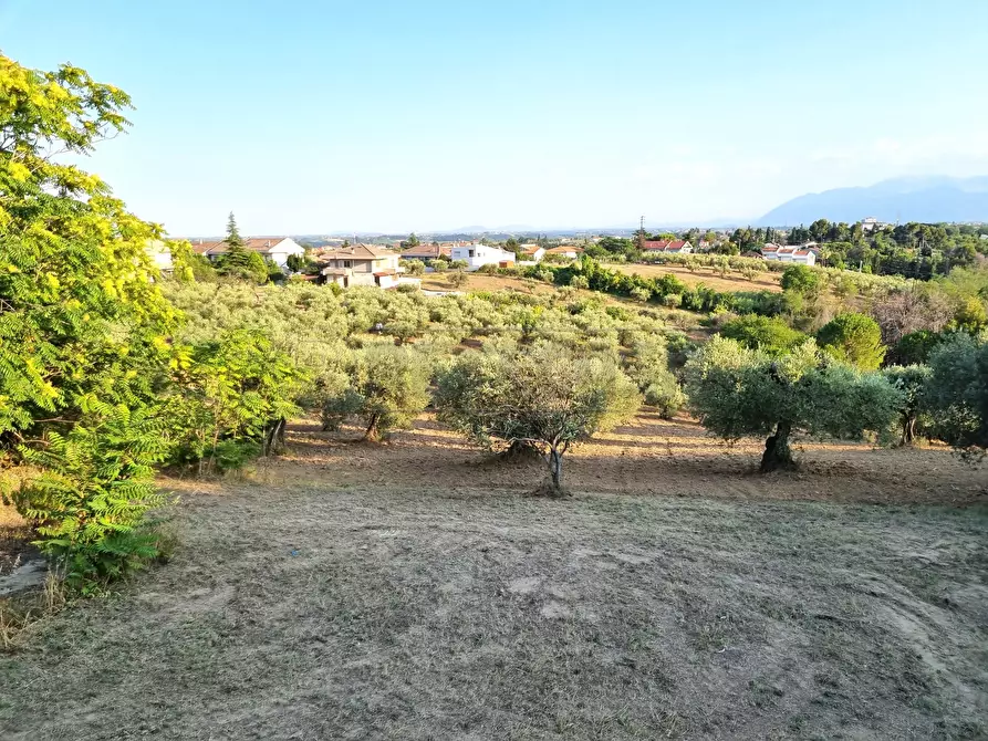 Immagine 15 di Terreno industriale in vendita  a Pescara