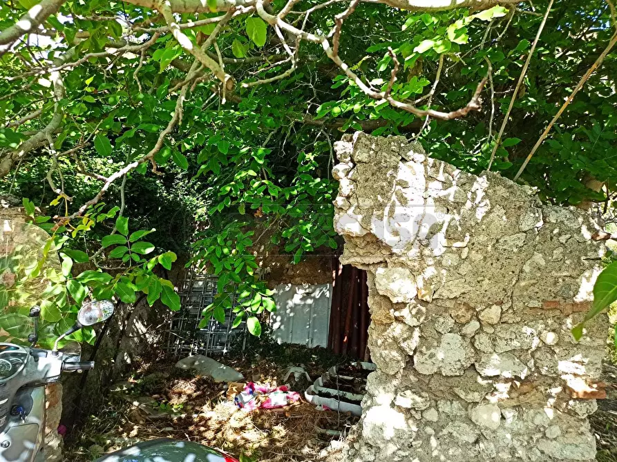 Immagine 15 di Rustico / casale in vendita  in Contrada Sant'Anna 39 a Messina