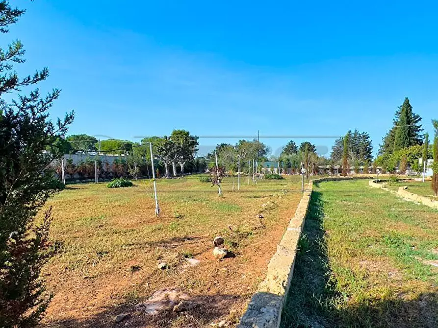 Immagine 8 di Terreno agricolo in vendita  in Via Stefano Catalano 5 a Gallipoli