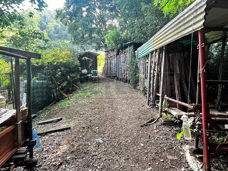 Immagine 17 di Terreno agricolo in vendita  in Via Bazziola a Monteviale