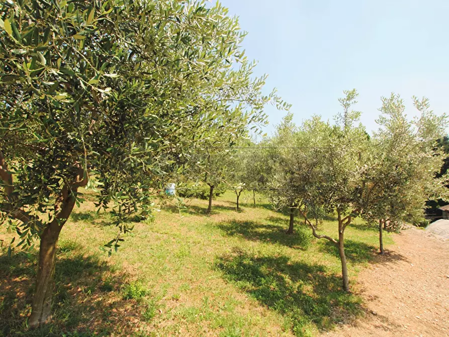 Immagine 5 di Terreno edificabile in vendita  in via castello SNC a Castelgomberto