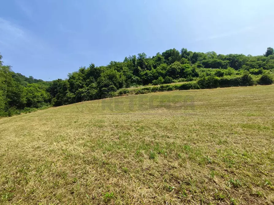 Immagine 3 di Terreno agricolo in vendita  in Via Sgaggeri 4 a Chiampo