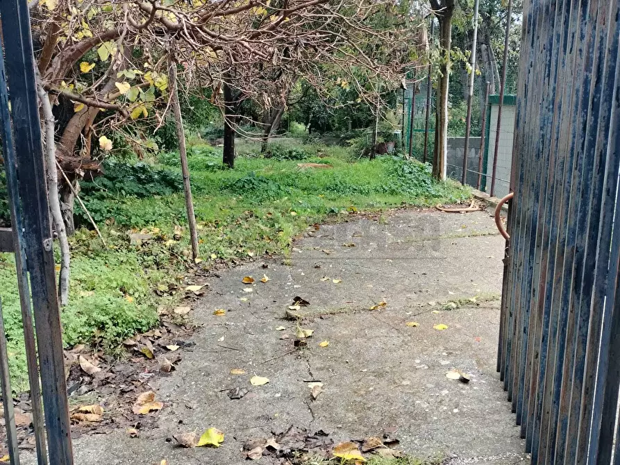 Immagine 4 di Terreno agricolo in vendita  in Vico del Maró 6 a Messina