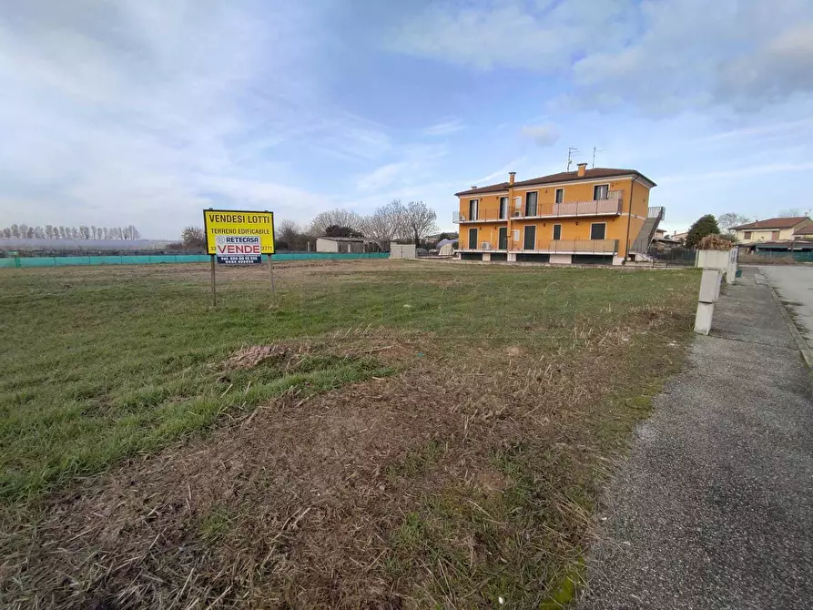 Immagine 8 di Terreno edificabile in vendita  in Via Cavalieri di Vittorio Veneto a Albaredo D'adige