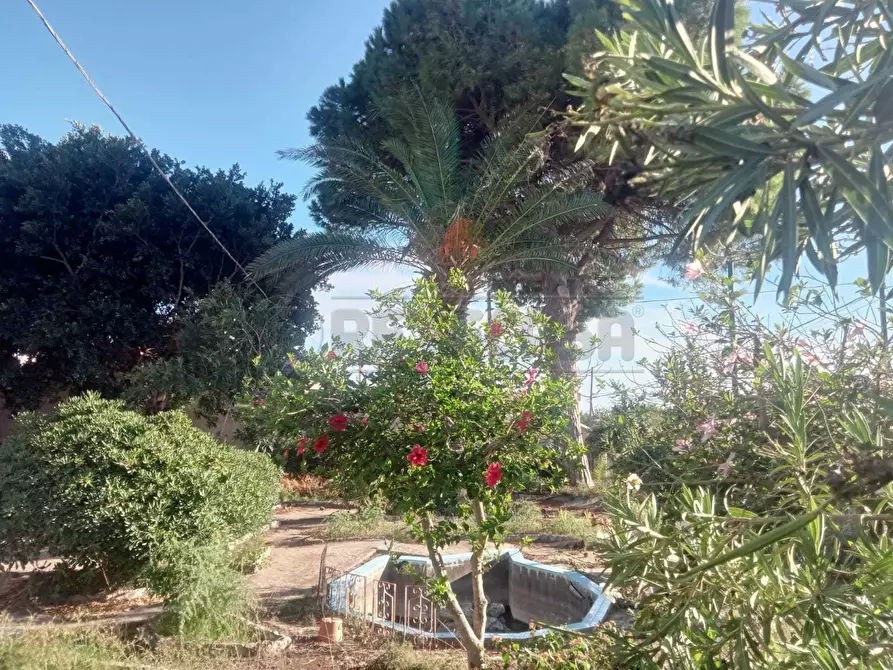 Immagine 20 di Villa in vendita  a Castelvetrano