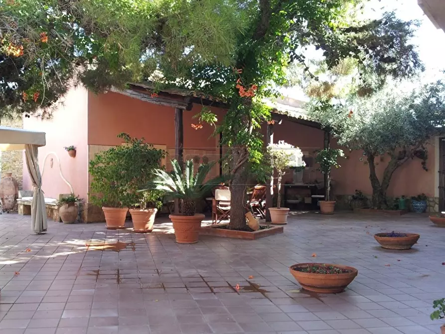Immagine 35 di Villa in vendita  in contrada spagnola snc a Marsala