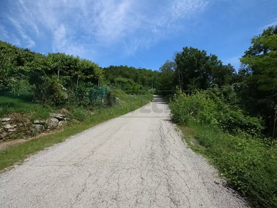 Immagine 17 di Terreno agricolo in vendita  in Via Castellaro a Castegnero