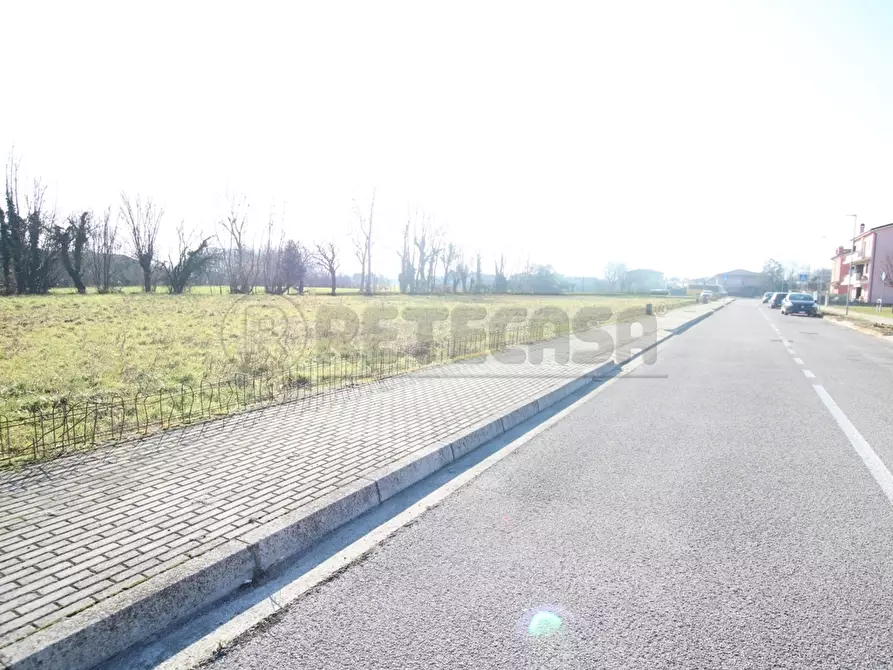 Immagine 19 di Terreno edificabile in vendita  a Castegnero