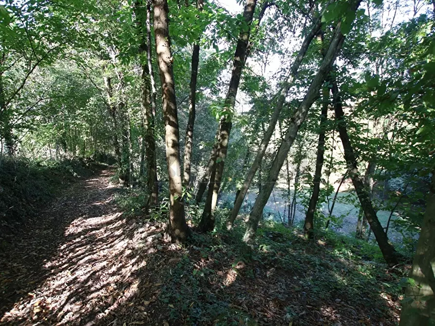 Immagine 23 di Terreno agricolo in vendita  a Arcugnano