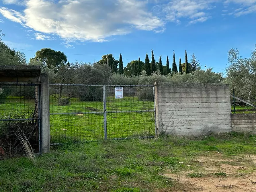 Immagine 2 di Terreno agricolo in vendita  in Via dei Gelsi di Niscima 1 a Caltanissetta