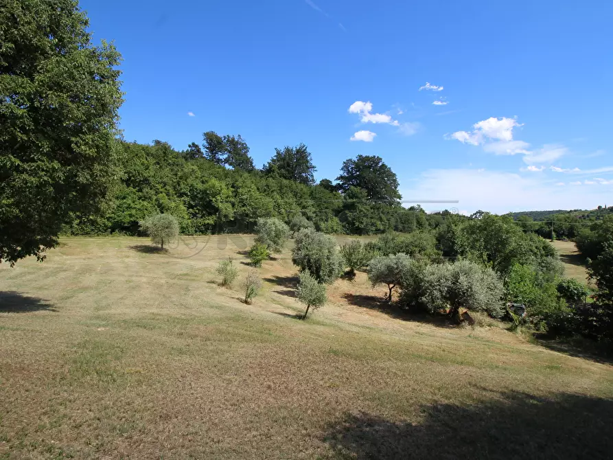 Immagine 6 di Rustico / casale in vendita  in Via Arcisi 8 a Val Liona