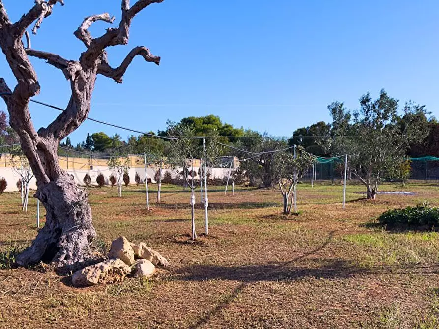 Immagine 7 di Terreno agricolo in vendita  in Via Stefano Catalano 5 a Gallipoli