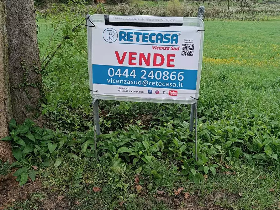 Immagine 5 di Terreno agricolo in vendita  a Castegnero