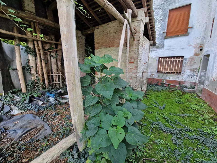 Immagine 11 di Rustico / casale in vendita  in Via Nervi a San Daniele Po