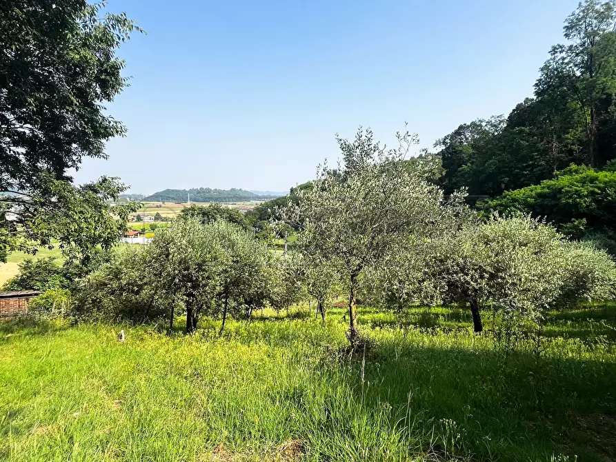 Immagine 8 di Terreno agricolo in vendita  in Via Bazziola a Monteviale