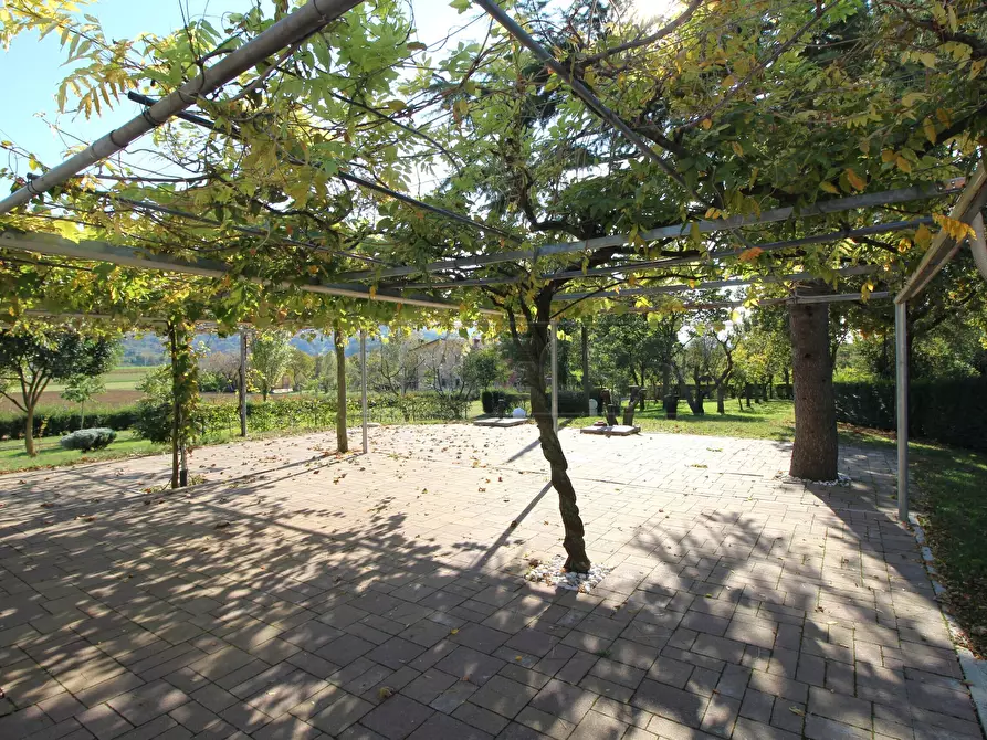 Immagine 2 di Agriturismo in vendita  a Brendola