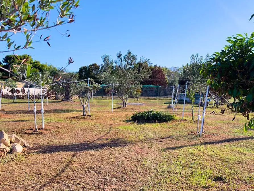 Immagine 4 di Terreno agricolo in vendita  in Via Stefano Catalano 5 a Gallipoli