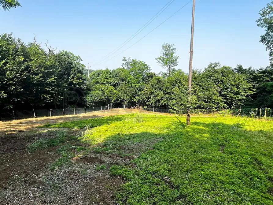 Immagine 39 di Terreno agricolo in vendita  in Via Bazziola a Monteviale