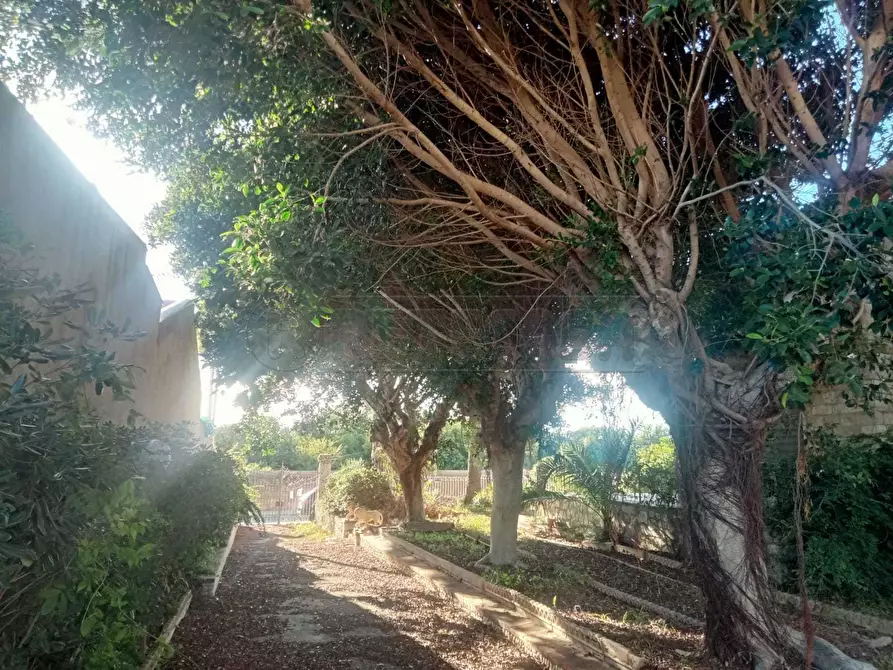 Immagine 16 di Villa in vendita  a Castelvetrano