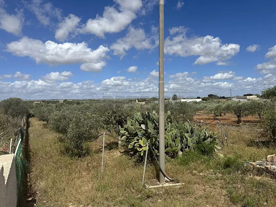 Immagine 19 di Villetta a schiera in vendita  a Mazara Del Vallo