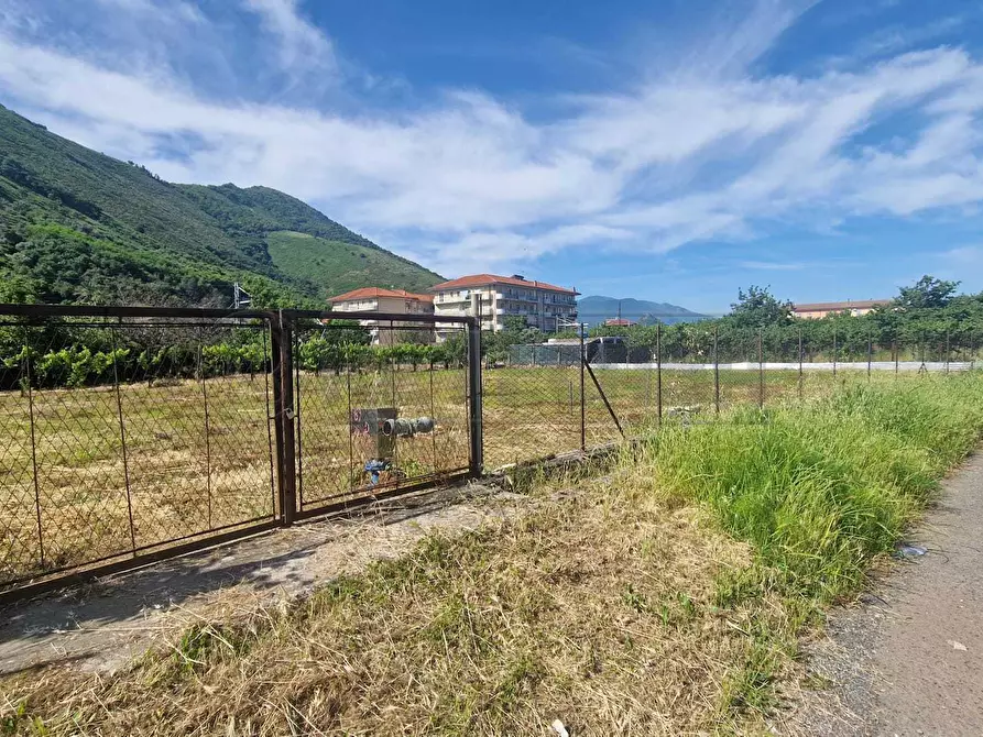 Immagine 2 di Terreno agricolo in vendita  a Mercato San Severino