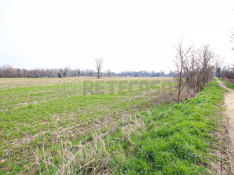 Immagine 8 di Terreno agricolo in vendita  a Villaverla