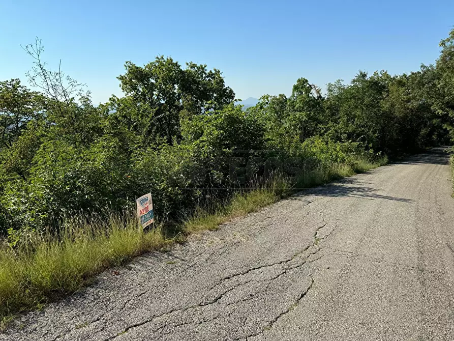 Immagine 23 di Terreno agricolo in vendita  in Via Castellaro a Castegnero