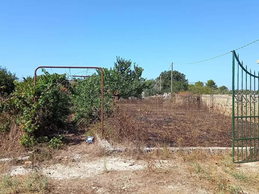 Immagine 7 di Terreno agricolo in vendita  a Maglie