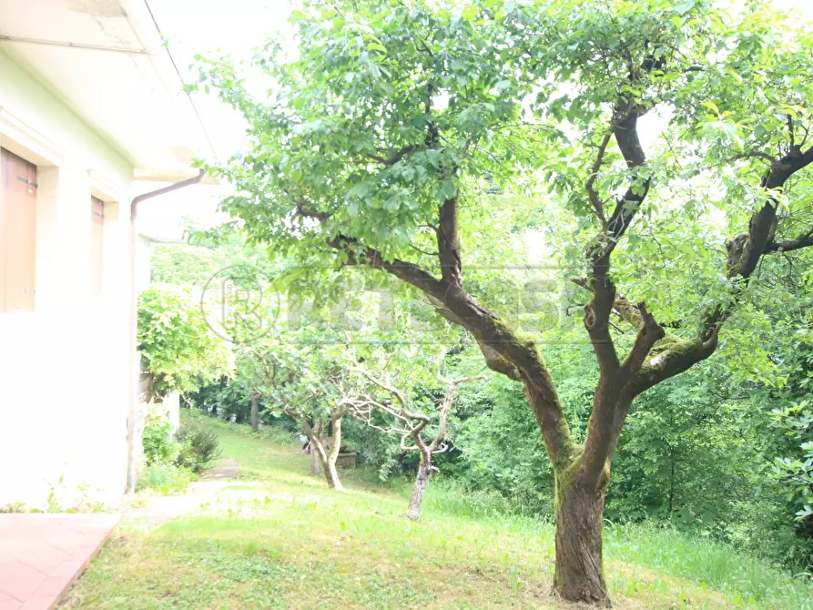 Immagine 60 di Villa in affitto  in Via San Rocco a Arcugnano