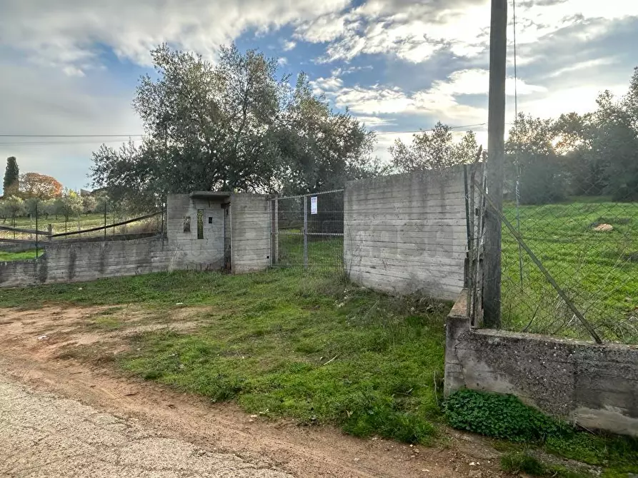 Immagine 1 di Terreno agricolo in vendita  in Via dei Gelsi di Niscima 1 a Caltanissetta