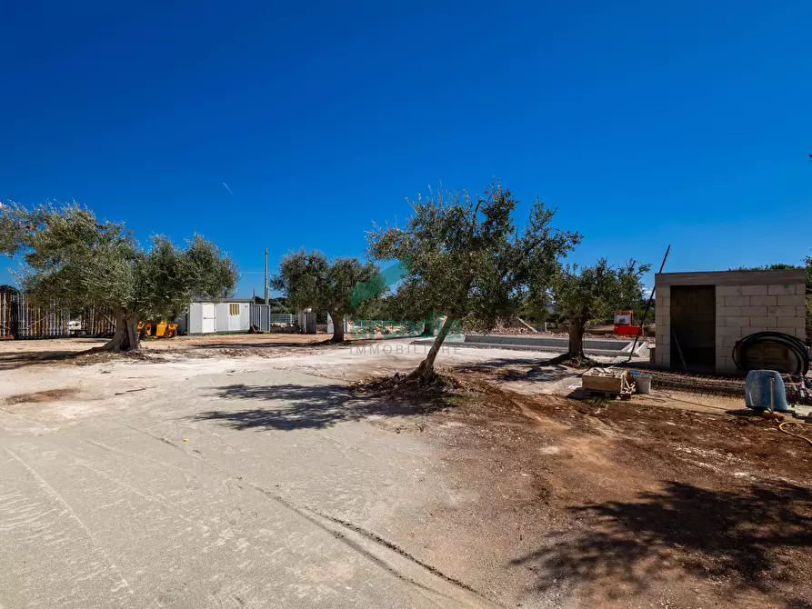 Immagine 12 di Rustico / casale in vendita  in Via Coreggia a Alberobello