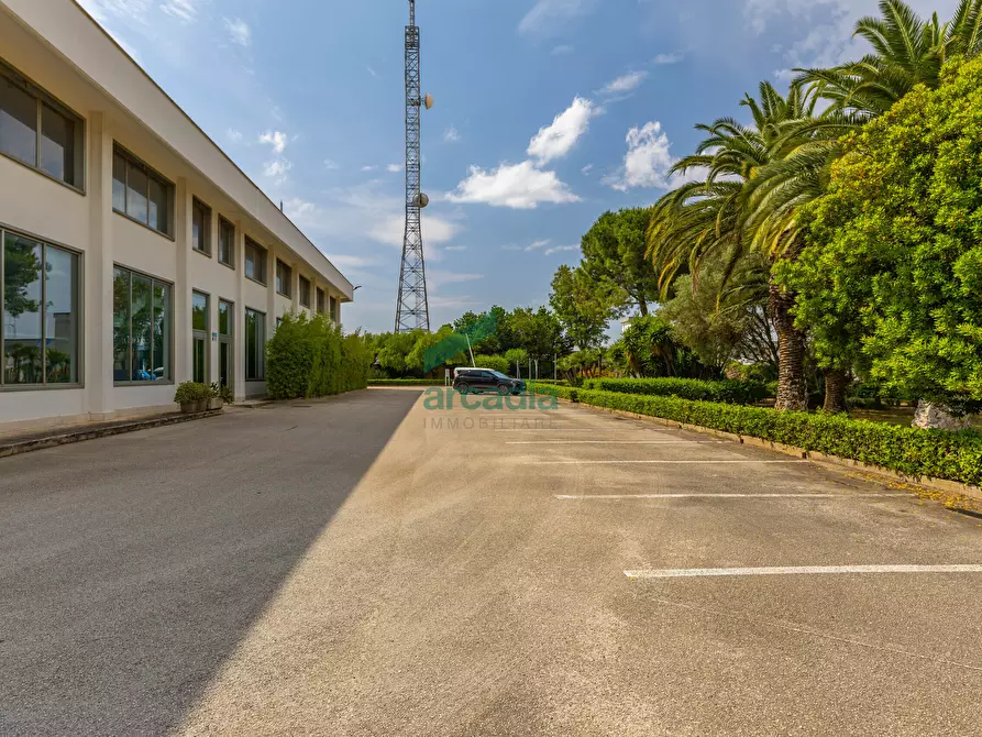 Immagine 16 di Attività artigianale in vendita  in Via dei Gigli 21 a Modugno