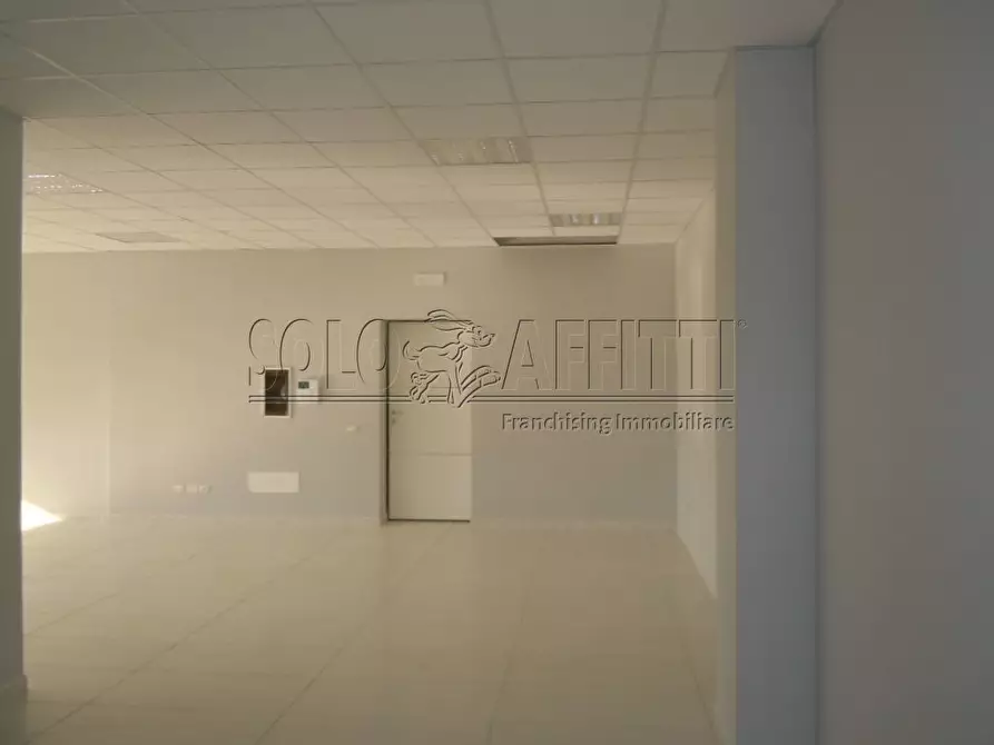 Immagine 11 di Ufficio in affitto  a Catanzaro