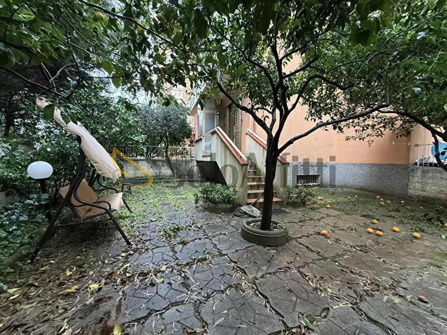 Immagine 1 di Trilocale in affitto  a Catanzaro