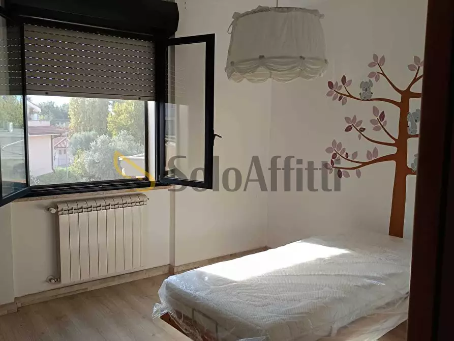 Immagine 10 di Quadrilocale in affitto  a Latina
