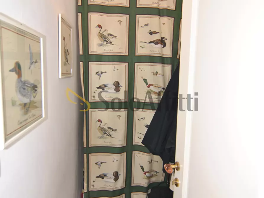 Immagine 18 di Quadrilocale in affitto  in Viale Giovanni Boccaccio 5 a Livorno