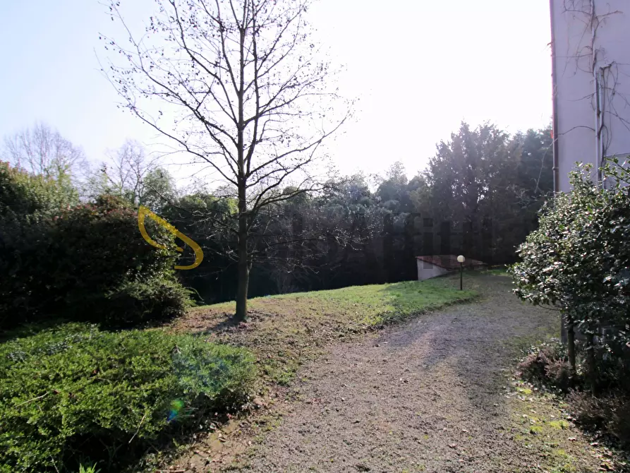 Immagine 13 di Trilocale in affitto  in Viale Trieste 9 a Barlassina