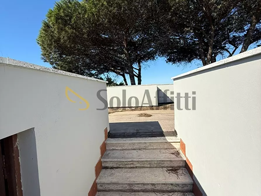 Immagine 14 di Trilocale in affitto  in Via Col Vento a Anzio