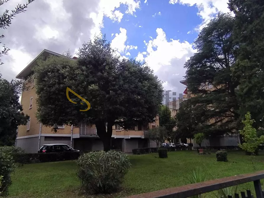 Immagine 46 di Trilocale in affitto  in Via degli Oleandri a Terni