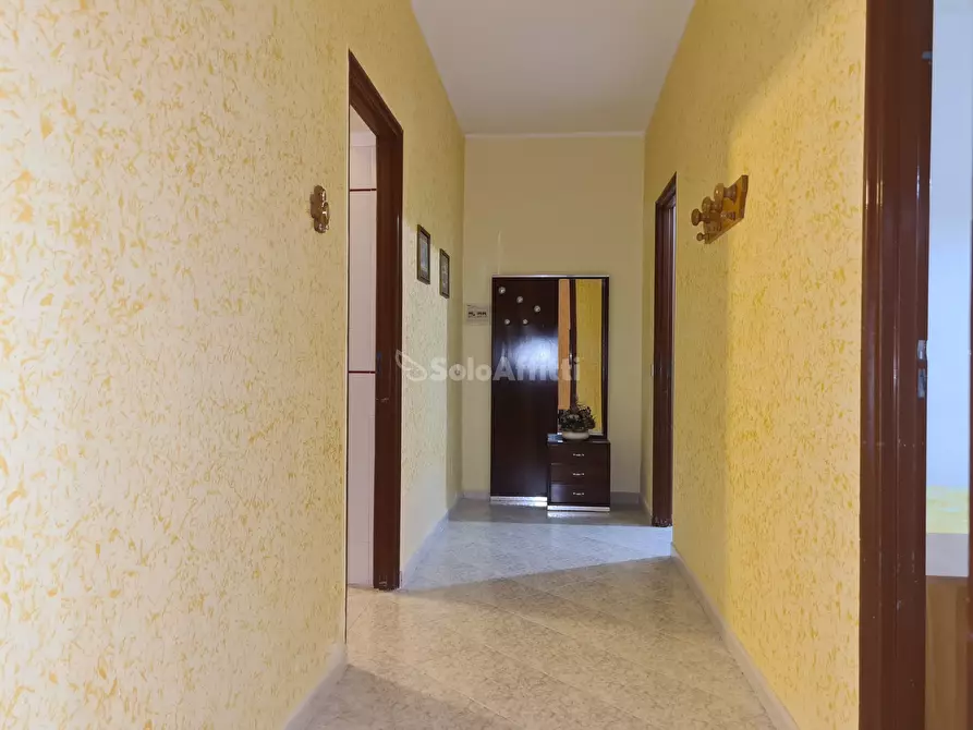 Immagine 6 di Trilocale in affitto  a Catanzaro