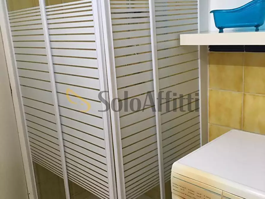 Immagine 8 di Monolocale in affitto  a Frosinone