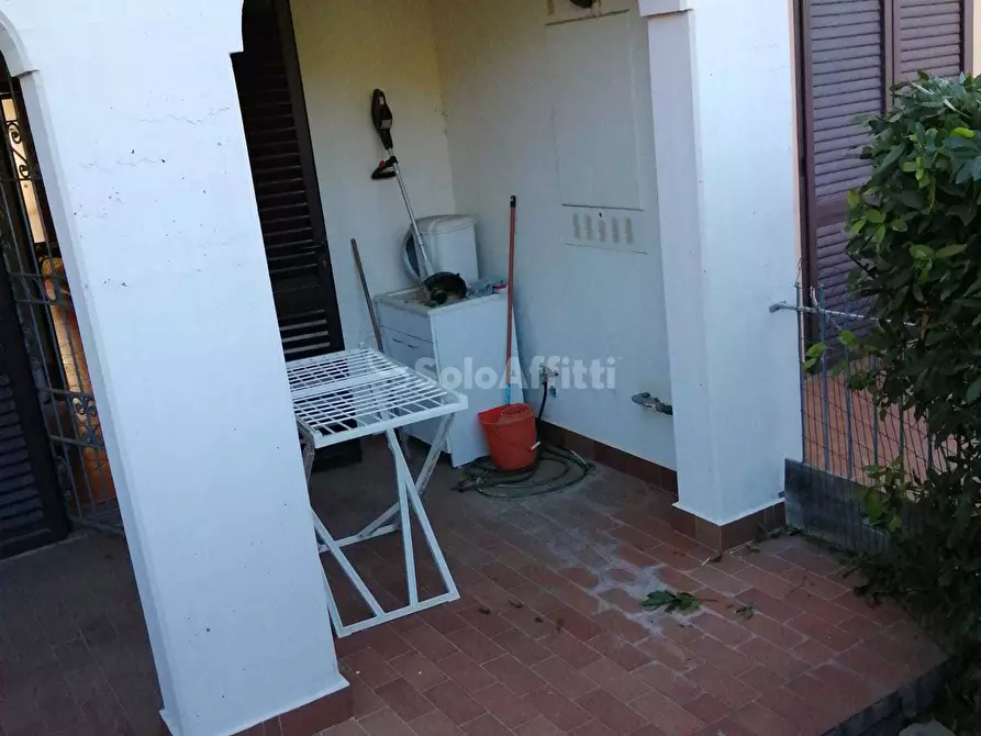 Immagine 15 di Bilocale in affitto  in via parri 155 a Rosignano Marittimo