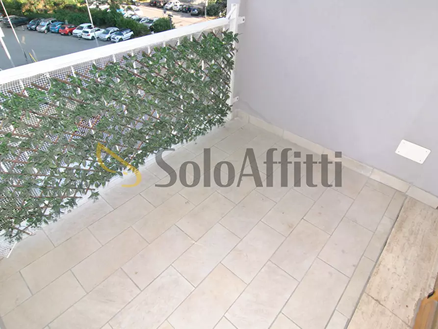 Immagine 8 di Quadrilocale in affitto  in Viale Francesco Petrarca 113 a Livorno
