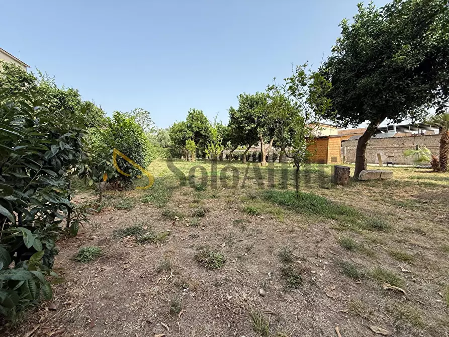 Immagine 23 di Villa in affitto  in Via Ten. Politano 4 a Caserta