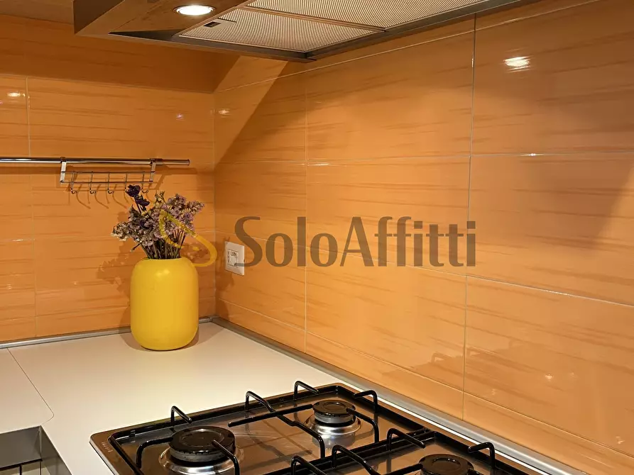 Immagine 11 di Trilocale in affitto  a Potenza