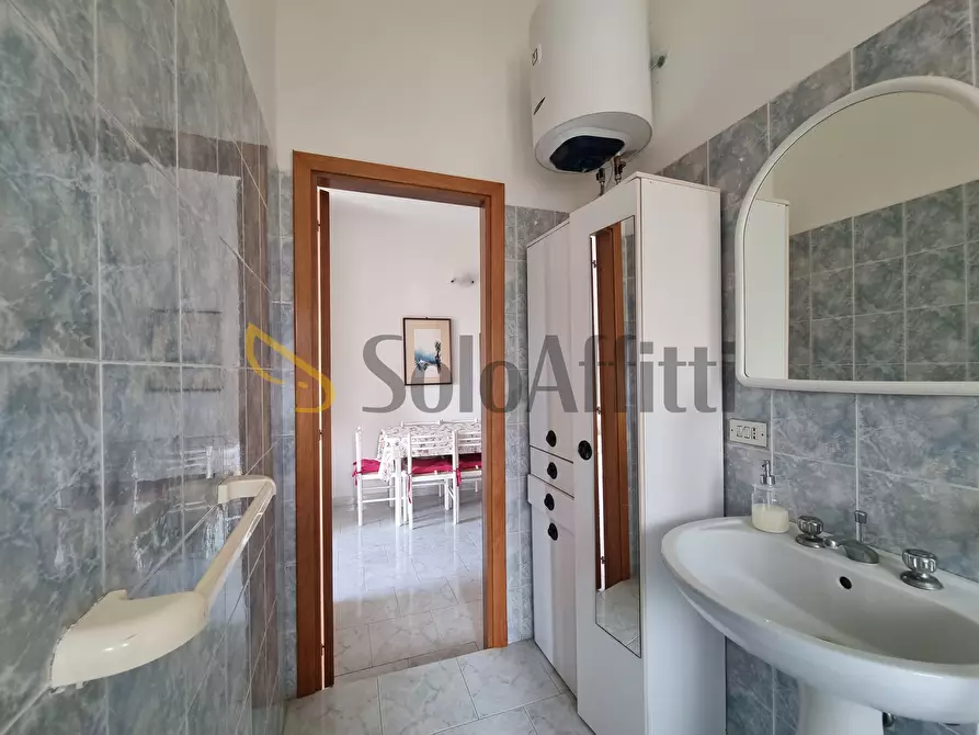 Immagine 11 di Trilocale in affitto  a Montauro