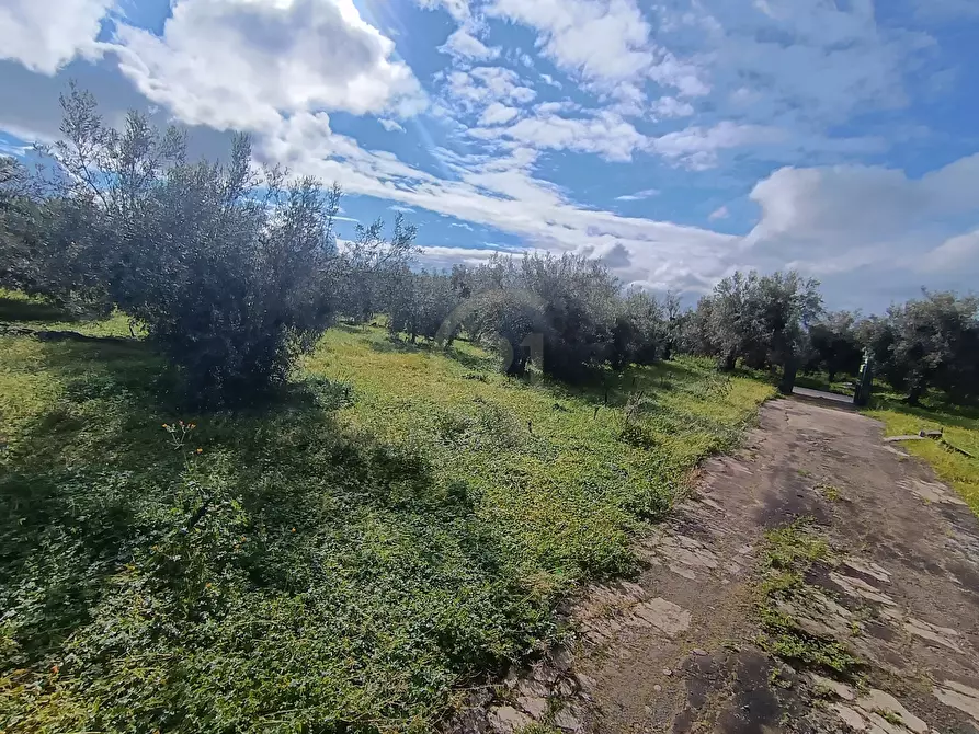 Immagine 16 di Terreno agricolo in vendita  in GRV6+27 Paternò, Città metropolitana di Catania a Paterno'