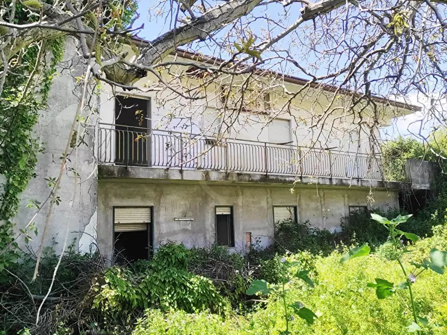 Immagine 1 di Villa in vendita  a Mascalucia