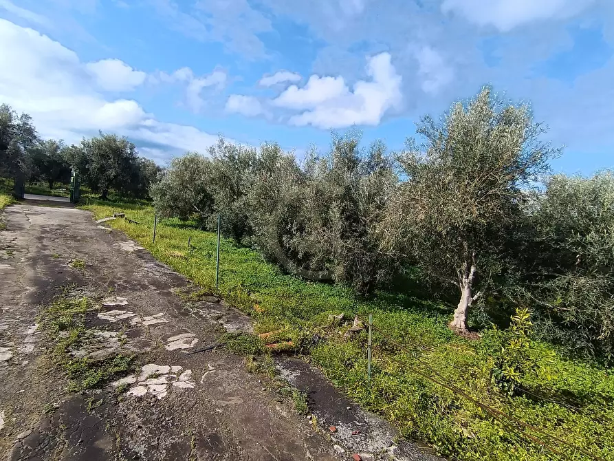 Immagine 17 di Terreno agricolo in vendita  in GRV6+27 Paternò, Città metropolitana di Catania a Paterno'