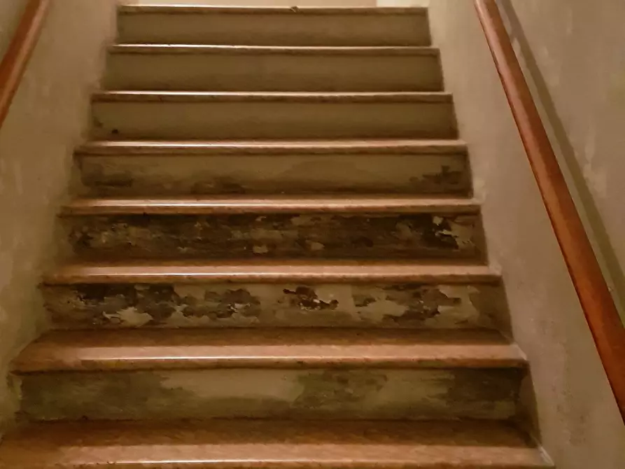 Immagine 9 di Trilocale in affitto  in Borgo Schizzati 17 a Parma